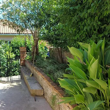 Petite Provence Aux Mandarines * אופטיה