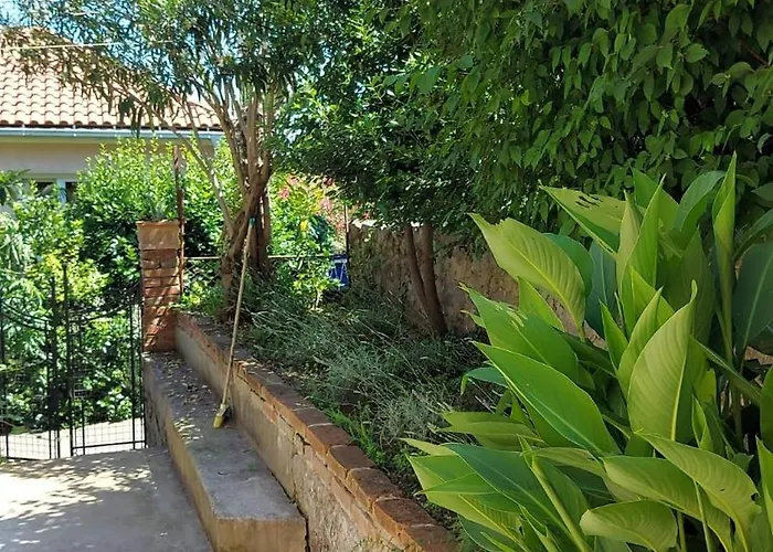 Petite Provence Aux Mandarines * אופטיה