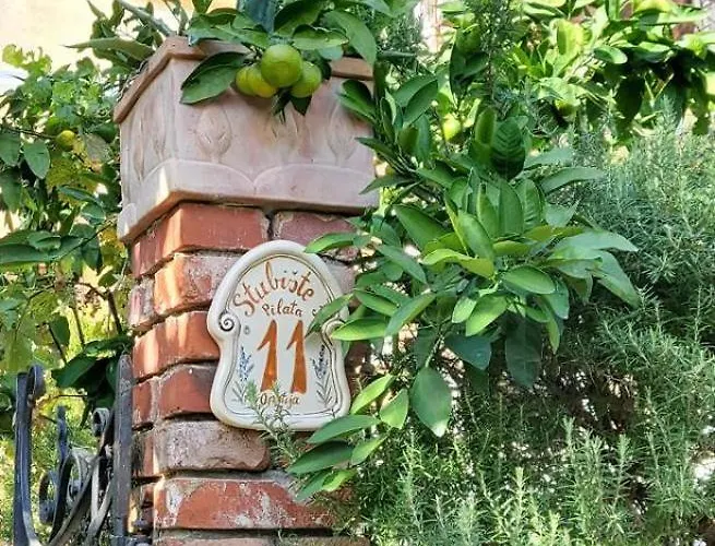 Daire Petite Provence Aux Mandarines *